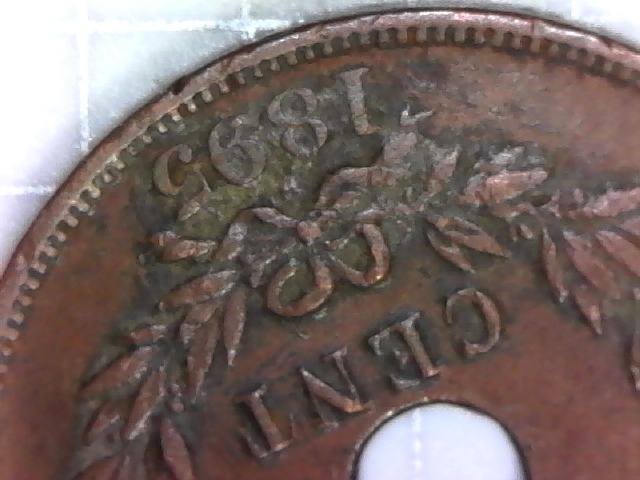 Sarawak-Cent-1895-H-Not-In-Krause