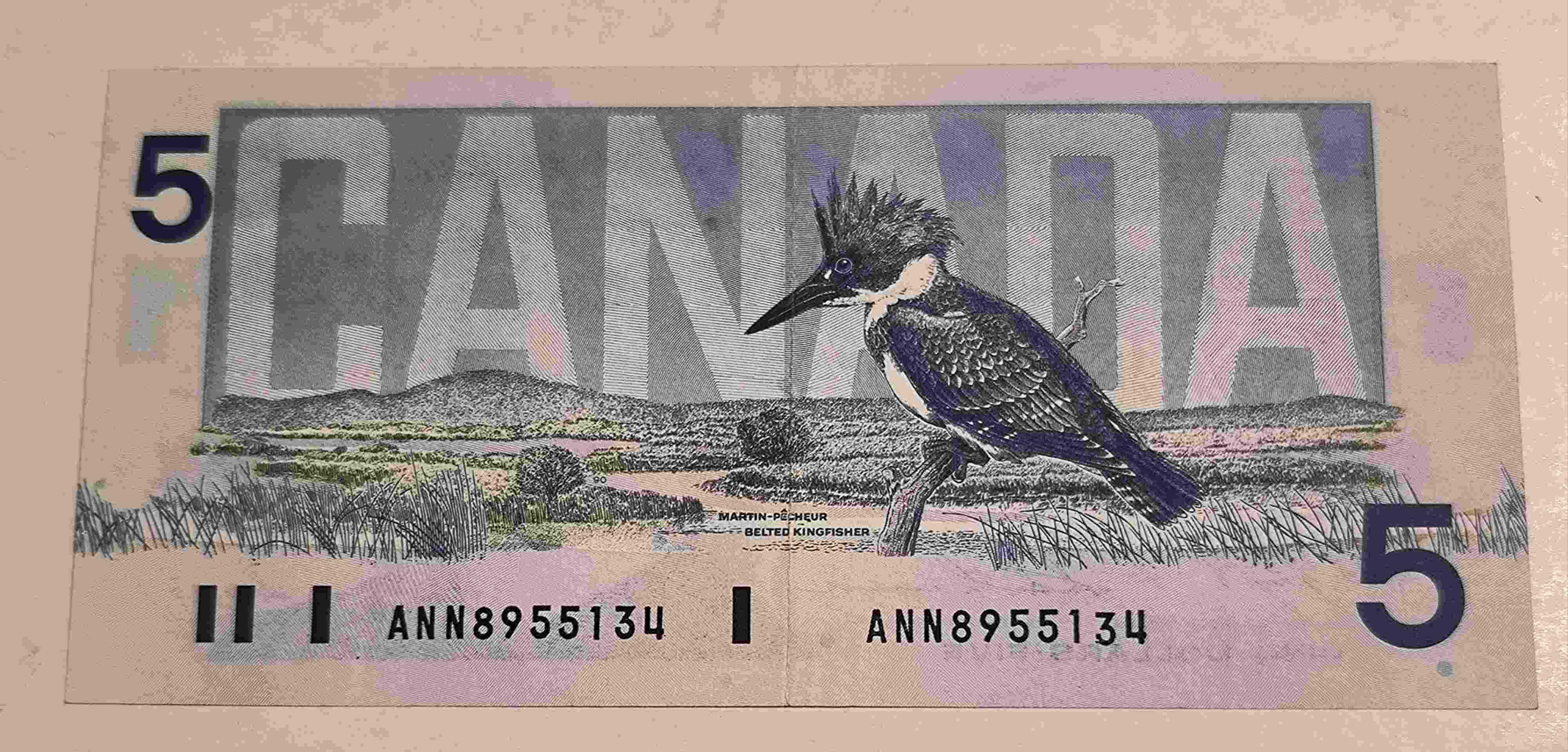 Was-That-1986-Serial-Ann-The-Right-Signature?