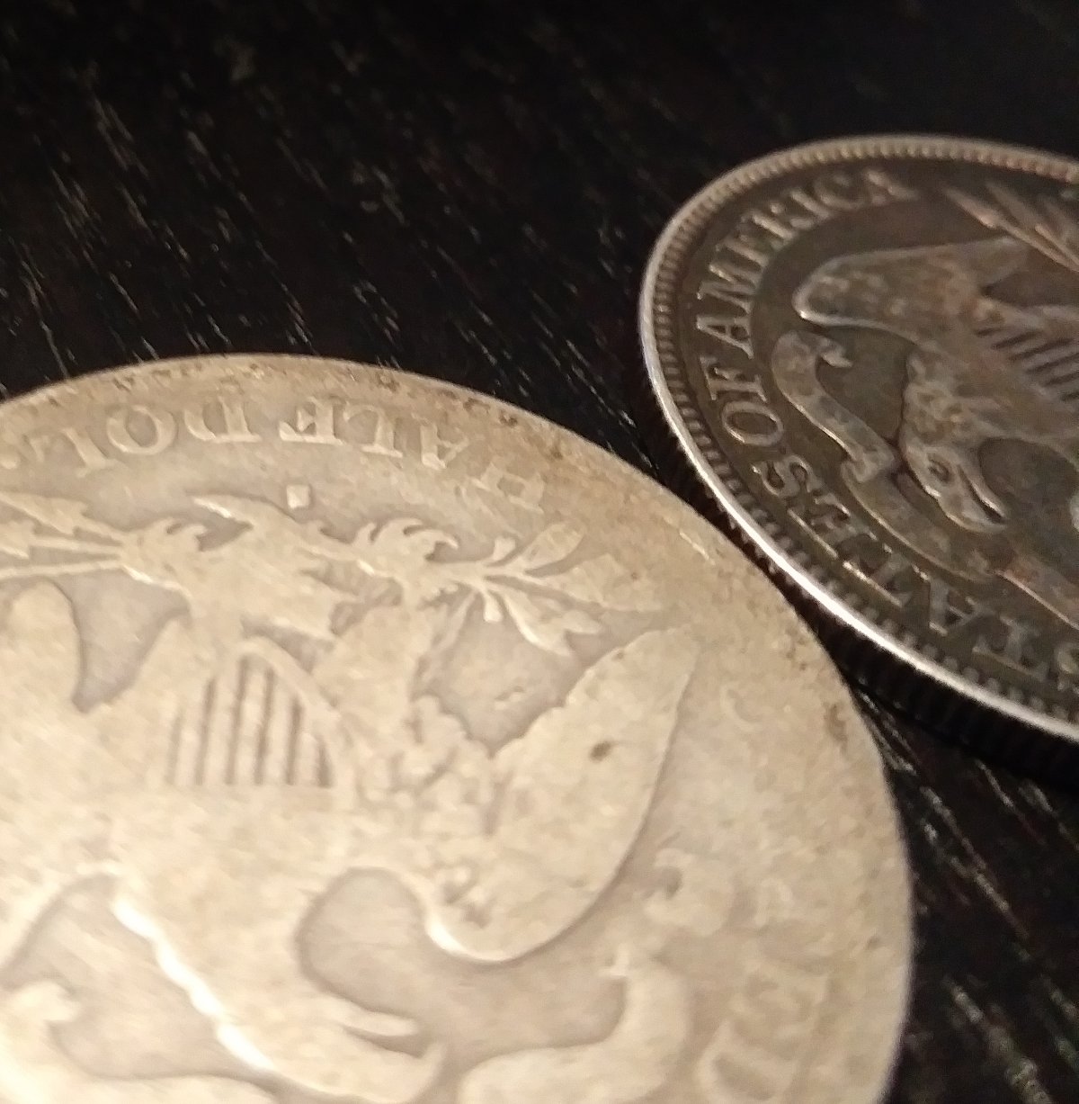 1875-Seated-Liberty-Half-Dollar...is-It-Real?