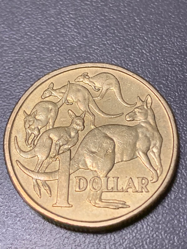 Rabbit-Ears-1$-Coin-2008
