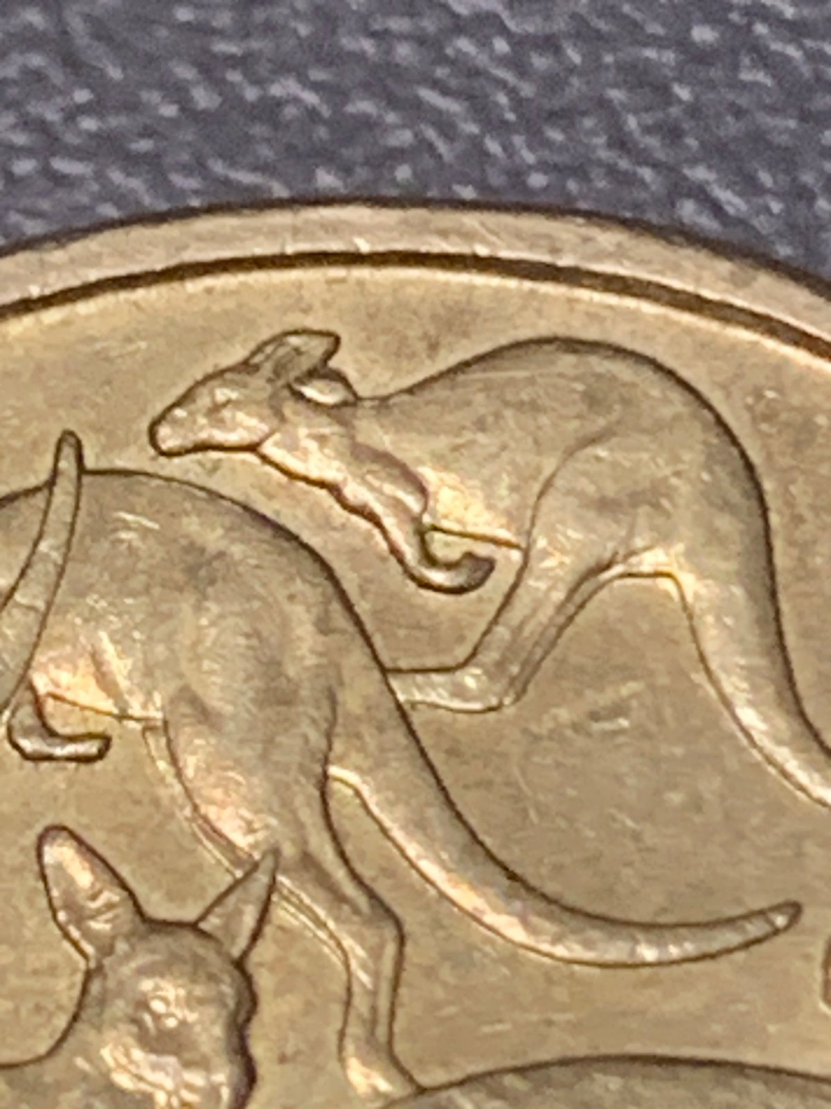 Rabbit-Ears-1$-Coin-2008