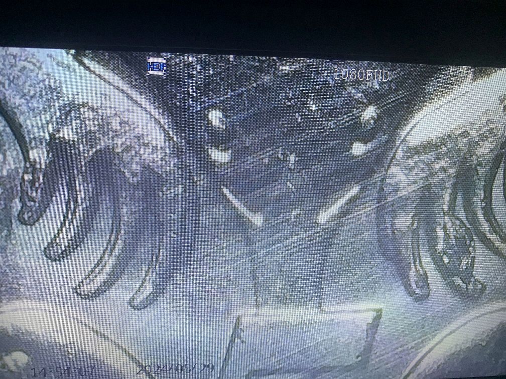 2024-5-Cent-Aust-Kc111-Cuds?