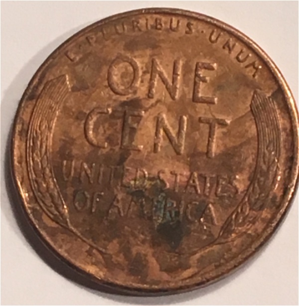 Love-Of-Lincoln-1957-Lincoln-Wheat-For-Grading