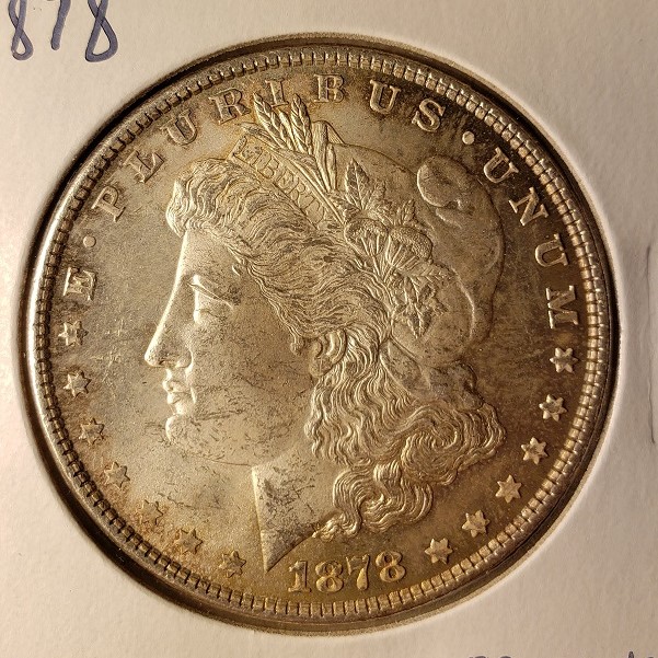 1878-Morgan-Grading-Advice