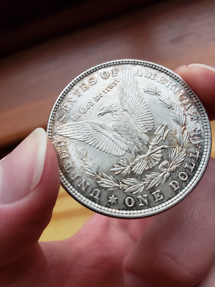 1878-Morgan-Grading-Advice