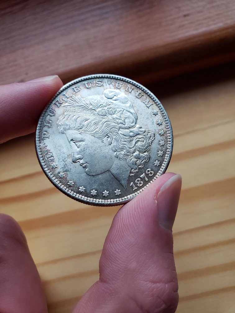 1878-Morgan-Grading-Advice
