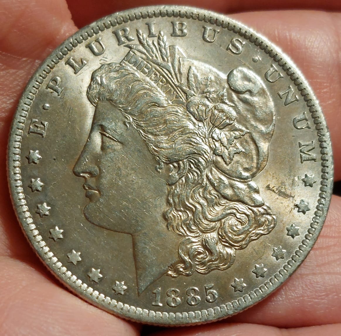 1885-O-Morgan-Grade-Help