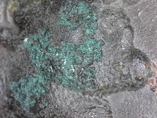 Thrax-And-Bronze-Disease?