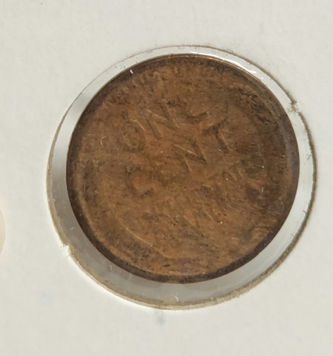 Woody-Penny-Or-Damage?