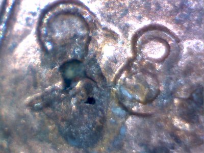 1988-Lincoln-Penny,-Strange-Looking-Date?