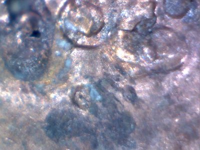 1988-Lincoln-Penny,-Strange-Looking-Date?