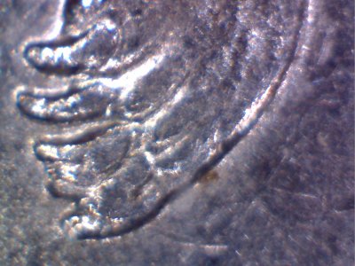 Two-2008-Alaska-State-Quarters-Die-Chips-And-Extra-Claw?