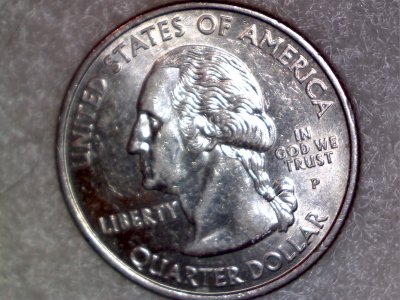 Two-2008-Alaska-State-Quarters-Die-Chips-And-Extra-Claw?