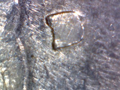 1982-D-Washington-Quarter-Maybe-DDO?