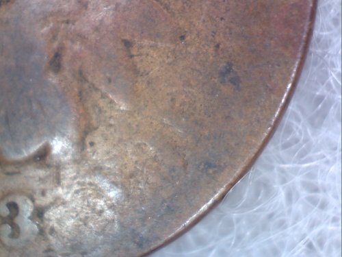 1883-Indian-Head-Struck-Through-Grease-And?