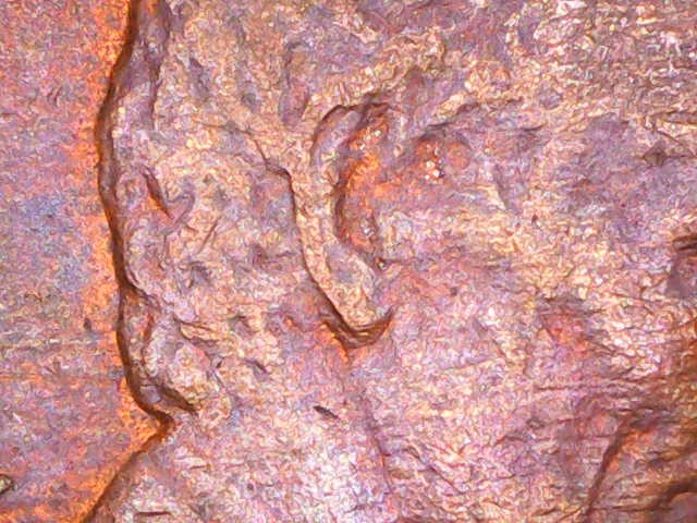 Is-It-Possible-For-A-1984-D-Penny-To-Have-A-Doubled-Ear?