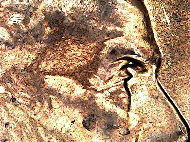 2007-D-DDO-Lmc-Doubled-Full-Eyelid