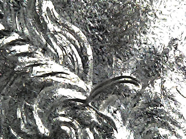 2000-P-Quarter,-MD-Or-DDD?