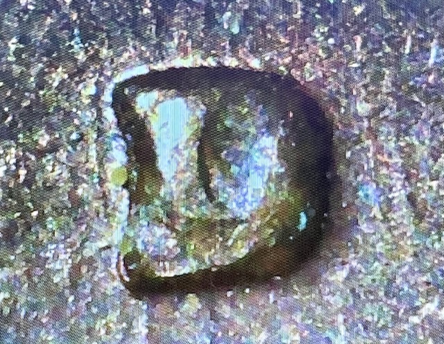 1978-Lincoln-Penny-RPM
