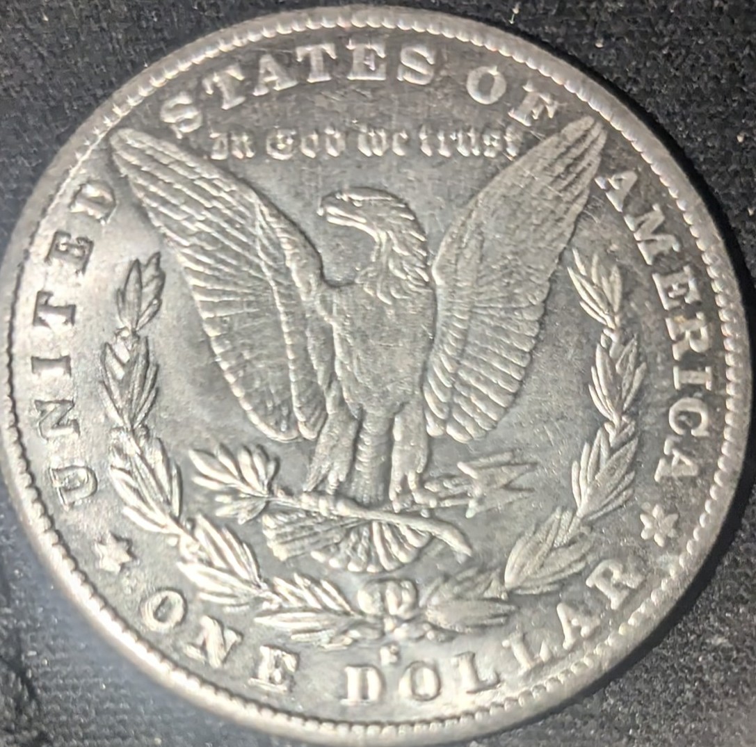 1884-S-Morgan-My-Pride-And-Joy