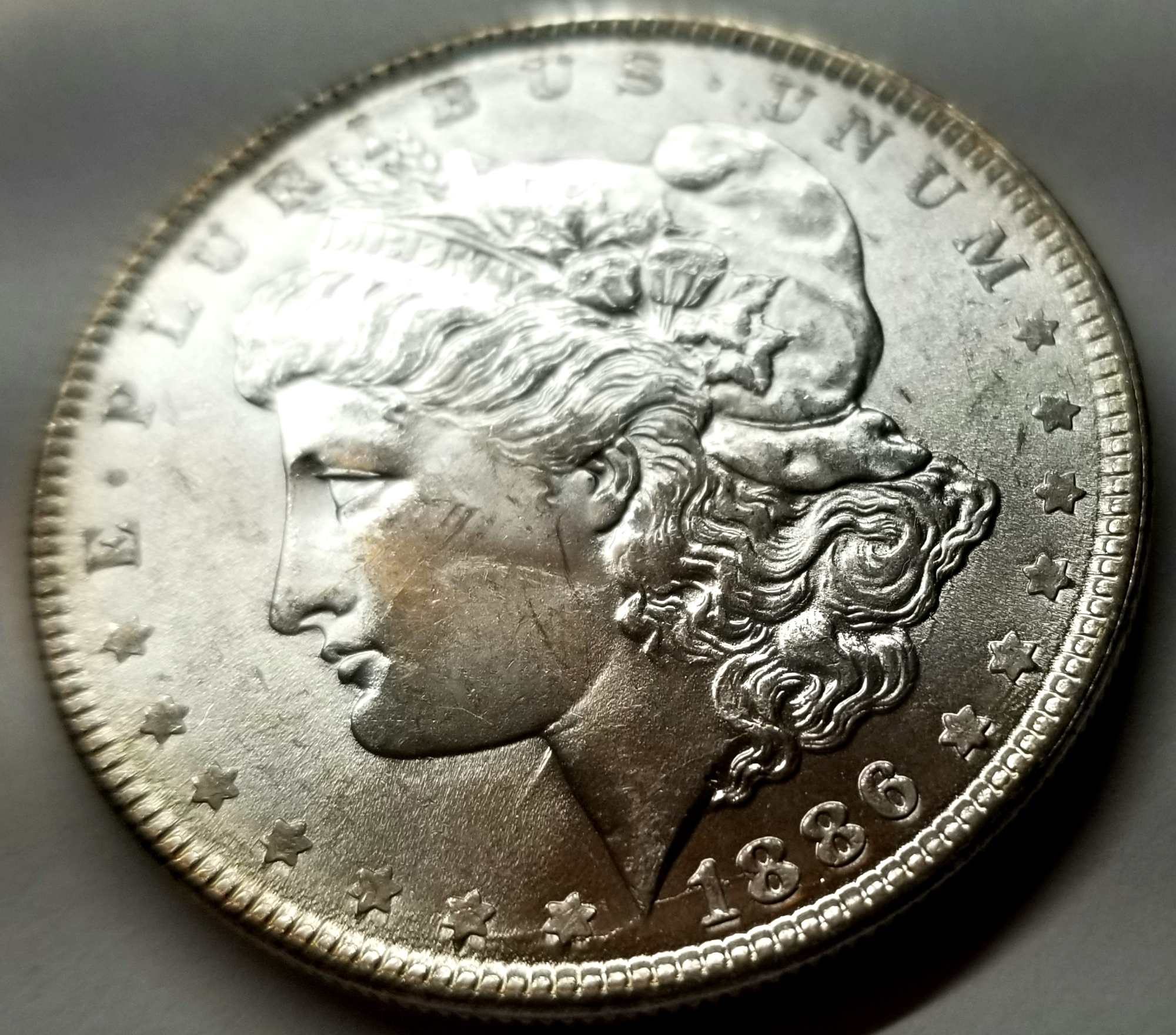 1886-Spike-Neck-VAM-Attribution?