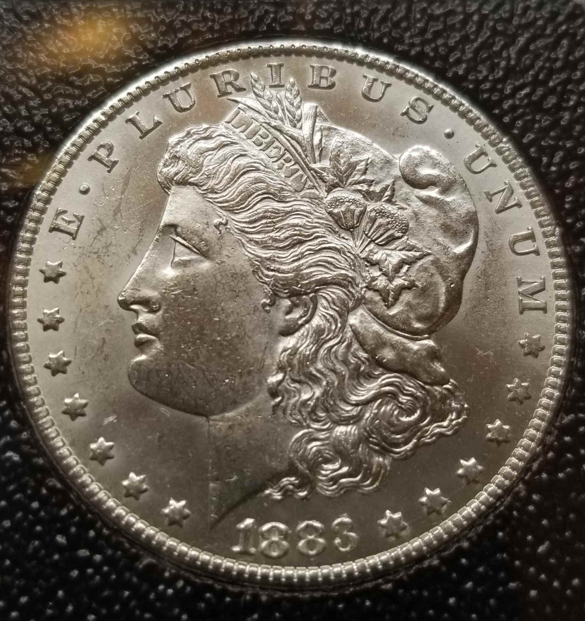 Grade-1883-CC-Morgan