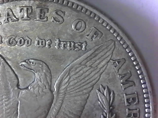 1921-D-Morgan-Silver-Dollar---Grade-Please?