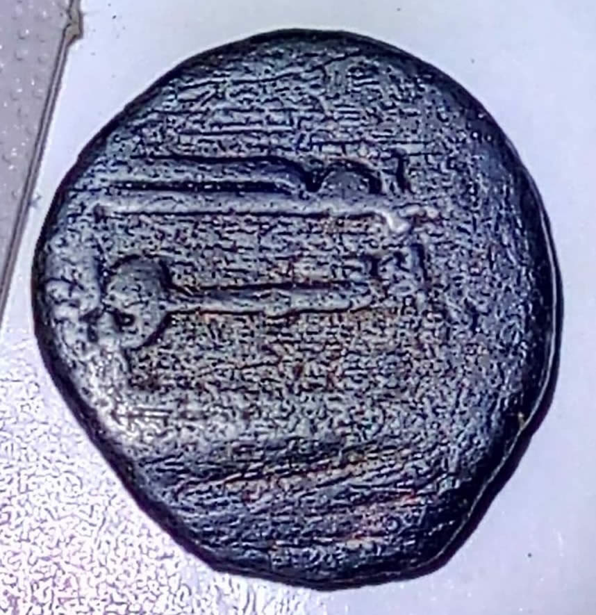 What-Type-Of-Fals-Is-This?