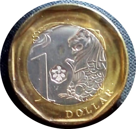 Is-The-Coin-Holder-Damaging-The-Physical-Coins?