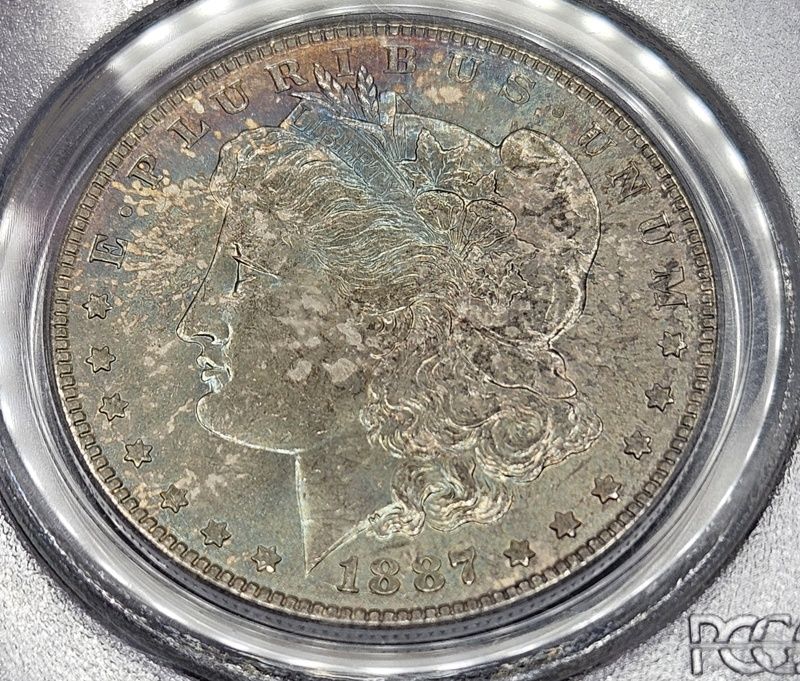 1887-P-Morgan-Dollar:-New-Acquisition:-Can-You-Guess-The-Grade?