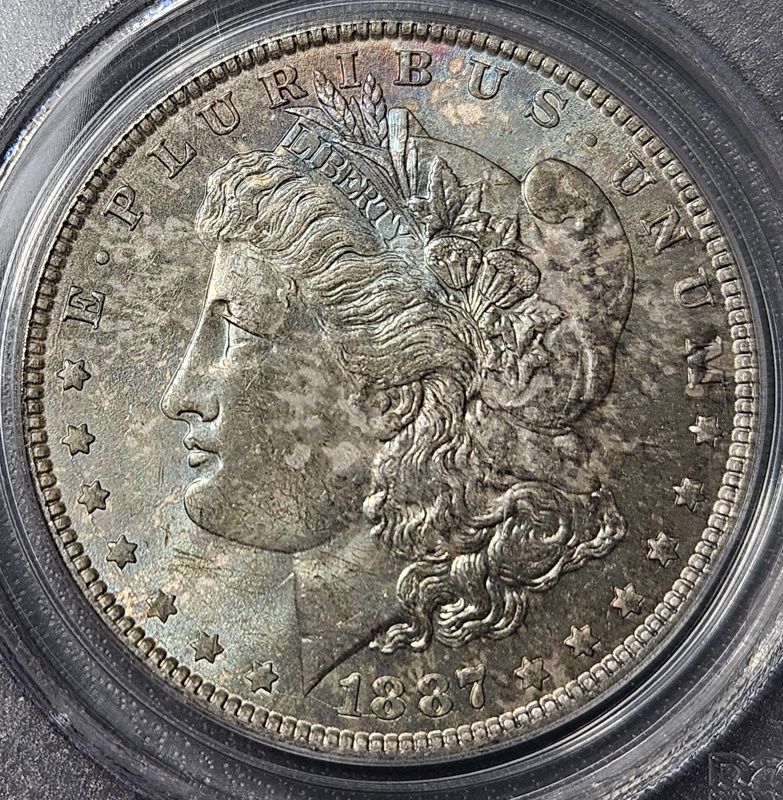 1887-P-Morgan-Dollar:-New-Acquisition:-Can-You-Guess-The-Grade?