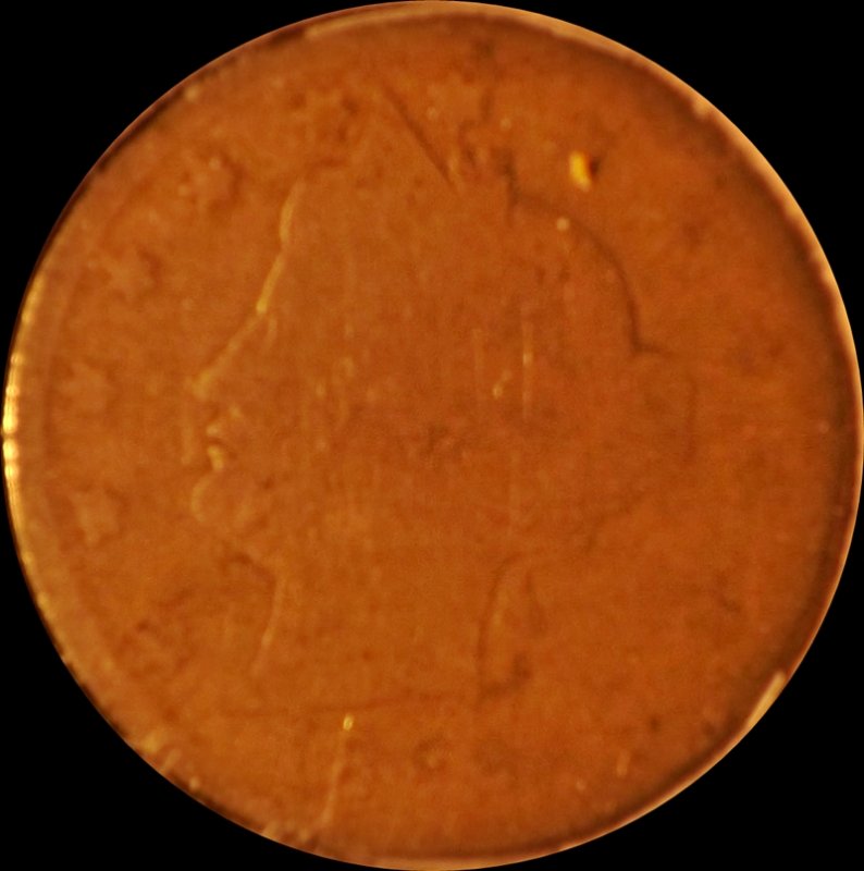 The-30-Days-Of-Liberty-Head-V-Nickels!