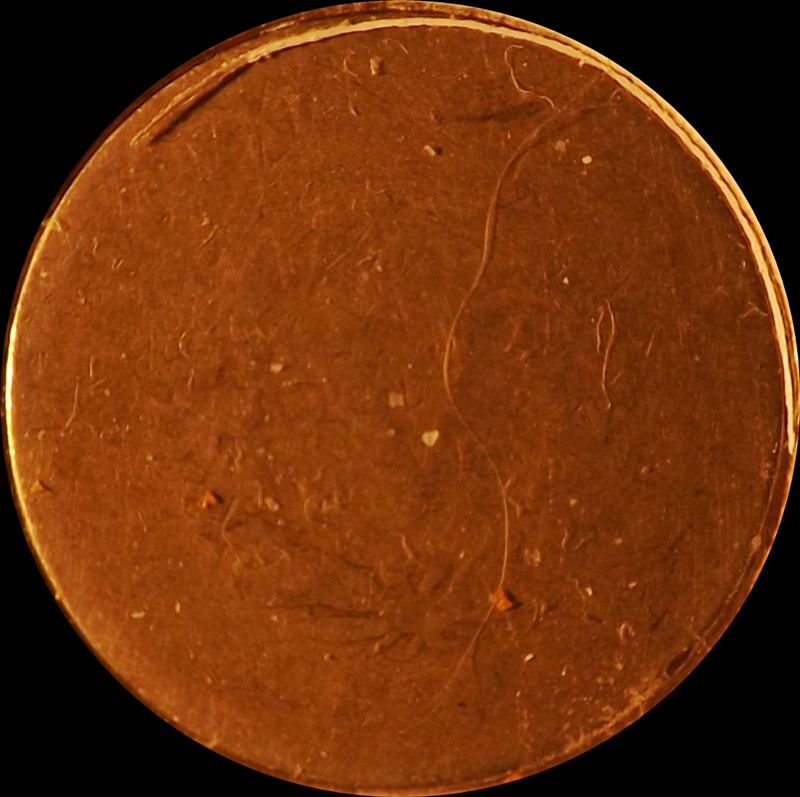 The-30-Days-Of-Liberty-Head-V-Nickels!