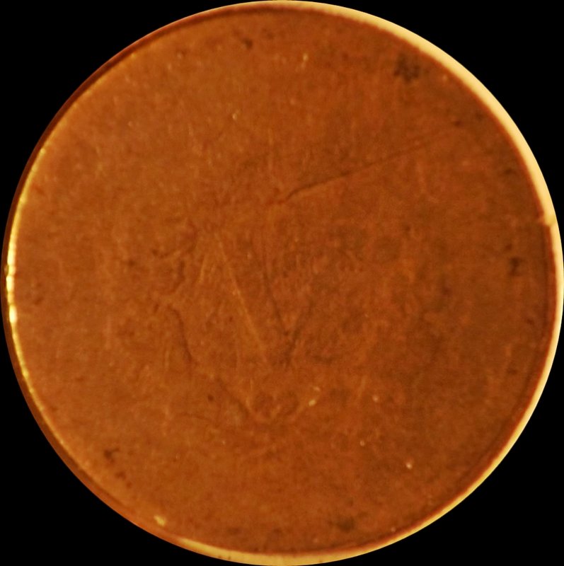 The-30-Days-Of-Liberty-Head-V-Nickels!