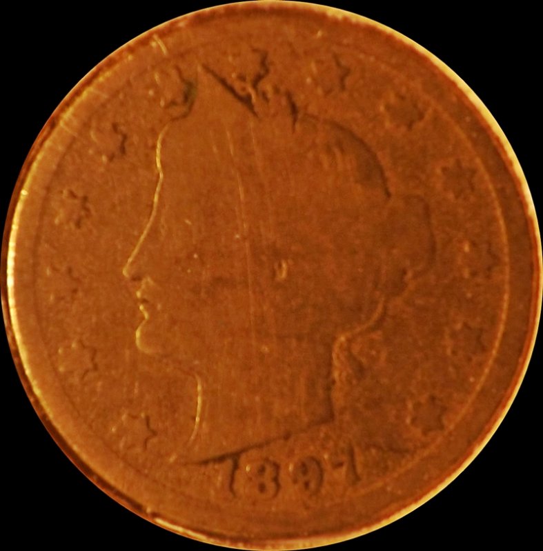 The-30-Days-Of-Liberty-Head-V-Nickels!