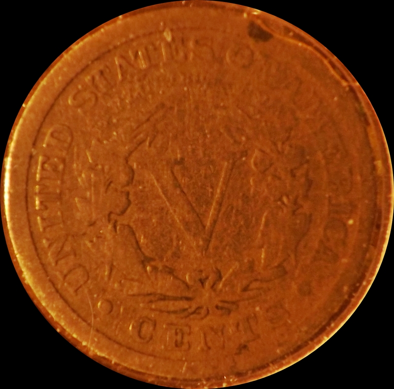 The-30-Days-Of-Liberty-Head-V-Nickels!