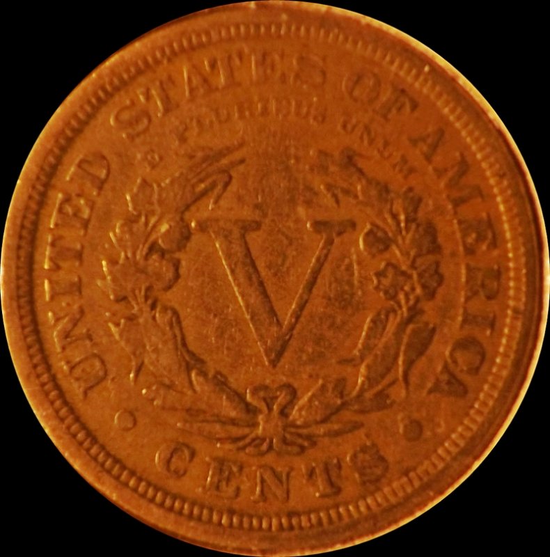 The-30-Days-Of-Liberty-Head-V-Nickels!