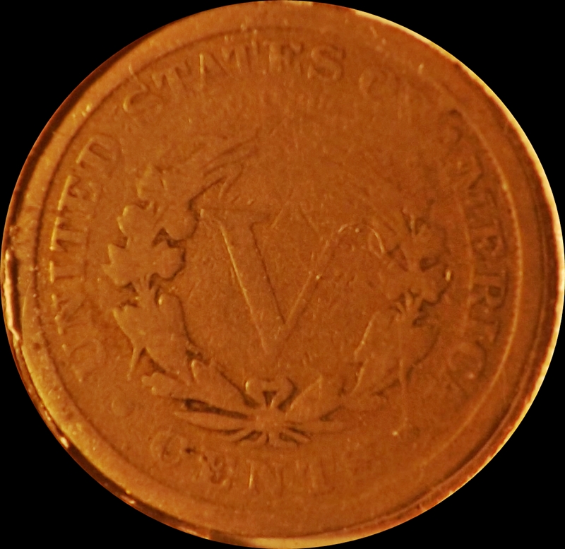 The-30-Days-Of-Liberty-Head-V-Nickels!
