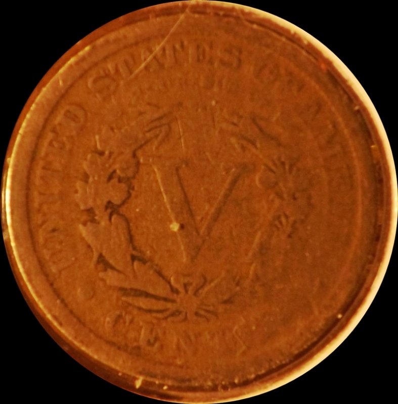 The-30-Days-Of-Liberty-Head-V-Nickels!
