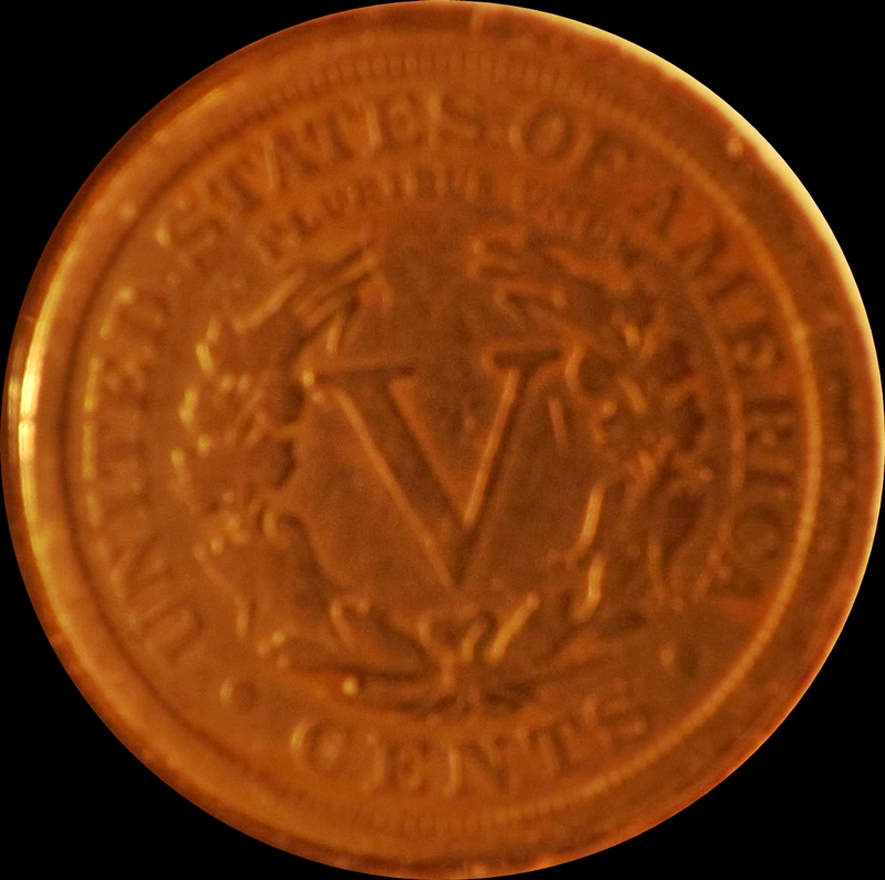 The-30-Days-Of-Liberty-Head-V-Nickels!
