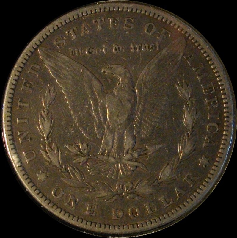 28-Days-Of-Morgans