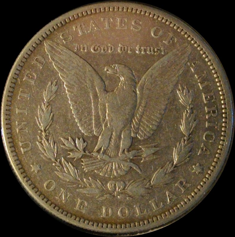 28-Days-Of-Morgans