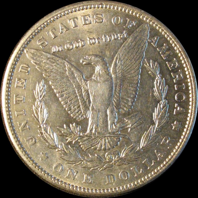 28-Days-Of-Morgans