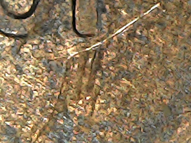 2001-P-Lincoln-Cent-With-Anomoly