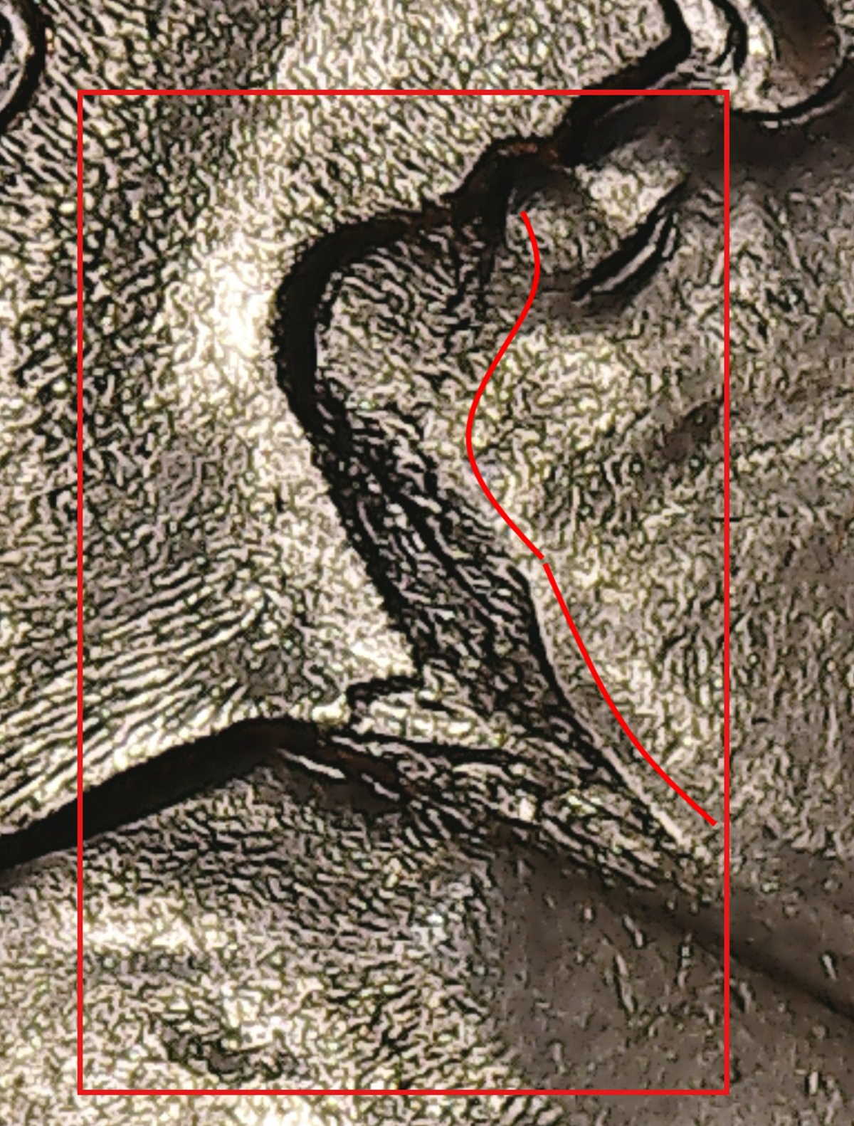 1964-D-Nickel---Strange-Chin/Neck-Area