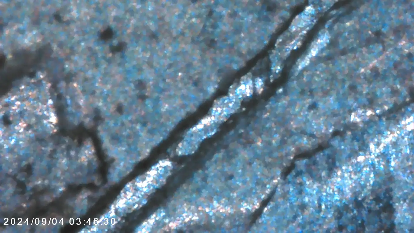 1964 D Roosevelt Finning? - Coin Community Forum