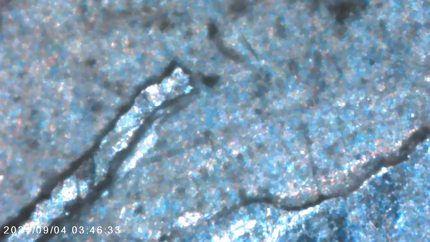 1964 D Roosevelt Finning? - Coin Community Forum