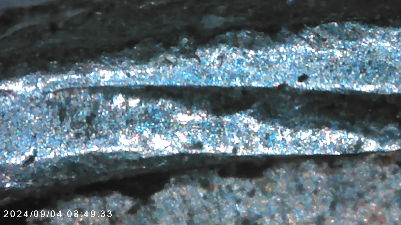 1964 D Roosevelt Finning? - Coin Community Forum