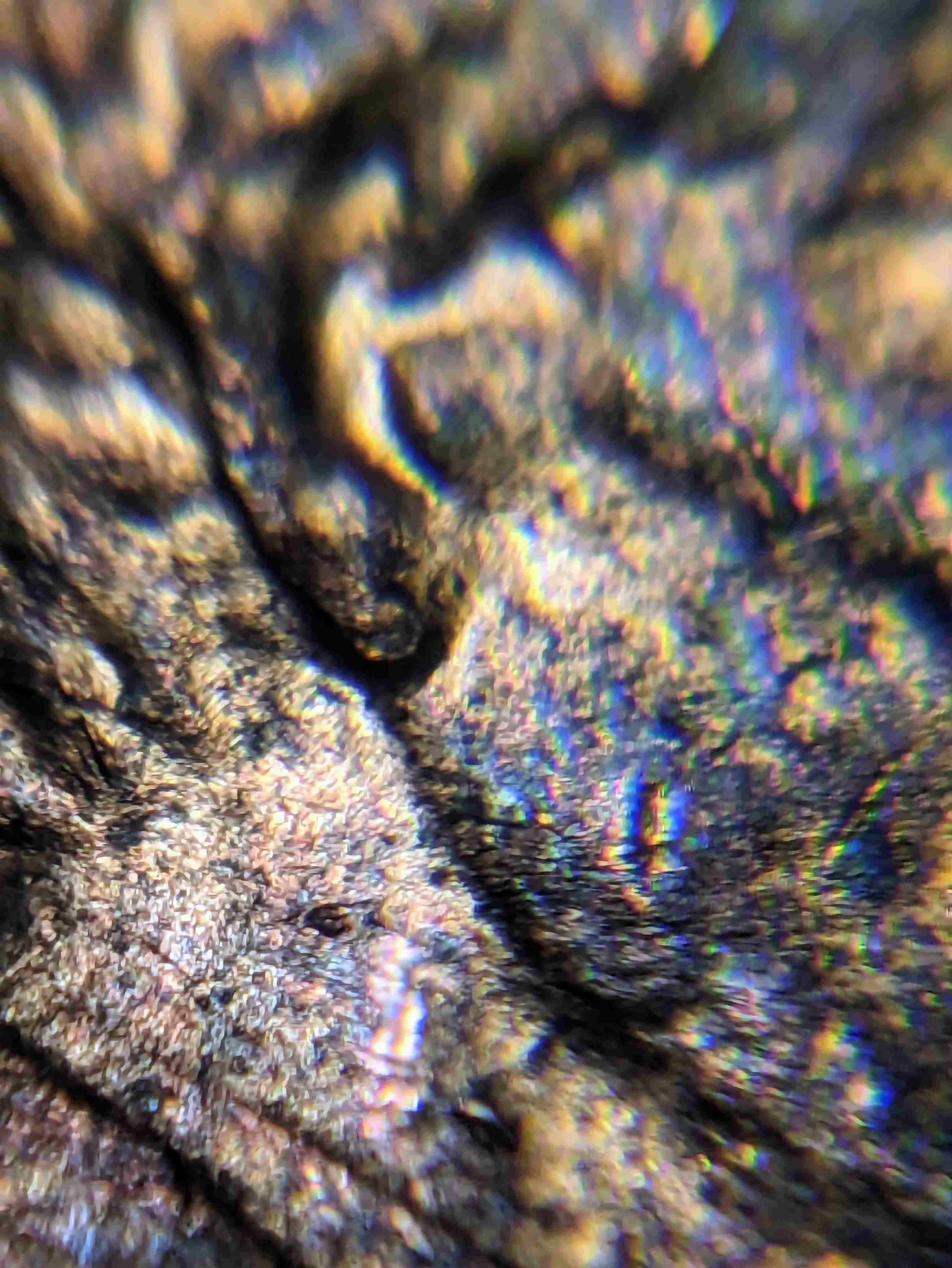 1982-Large-Date-Copper-Penny