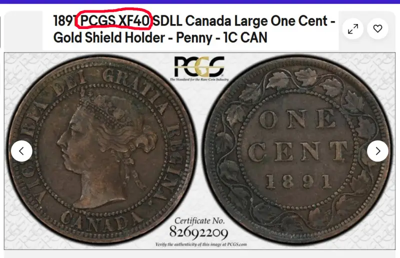 1891-Vickie-For-Grade-And-Opinion